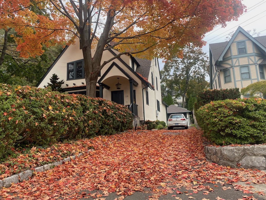 Fall Clean Up