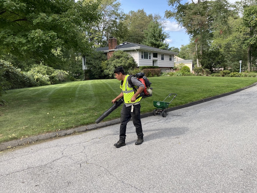 Mowing Lawn