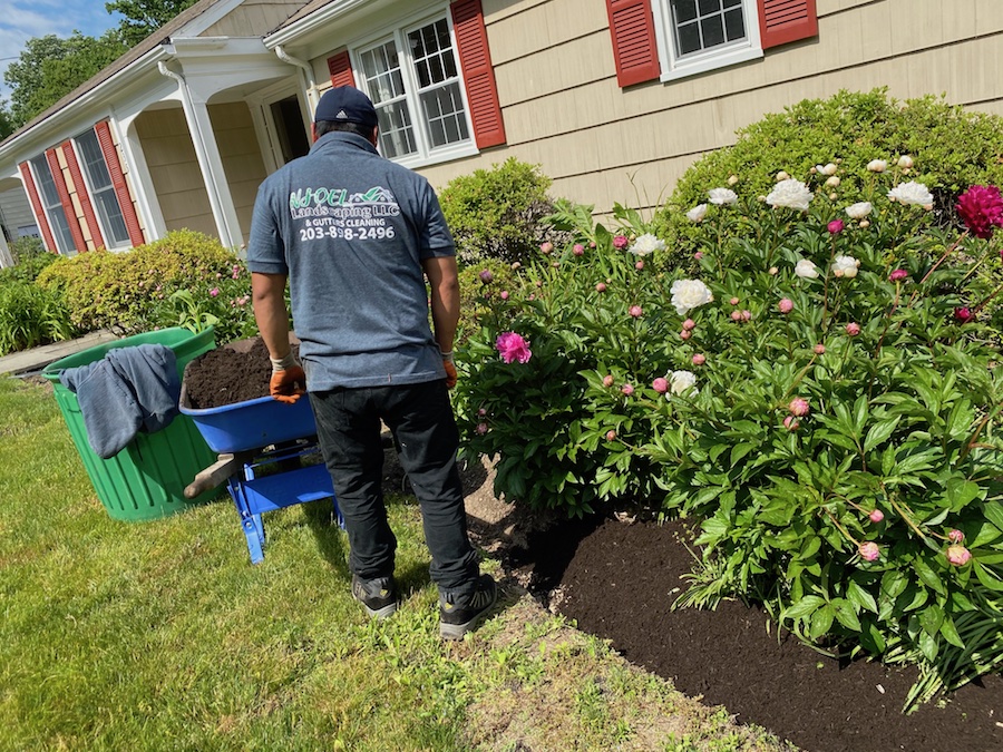 Mulch