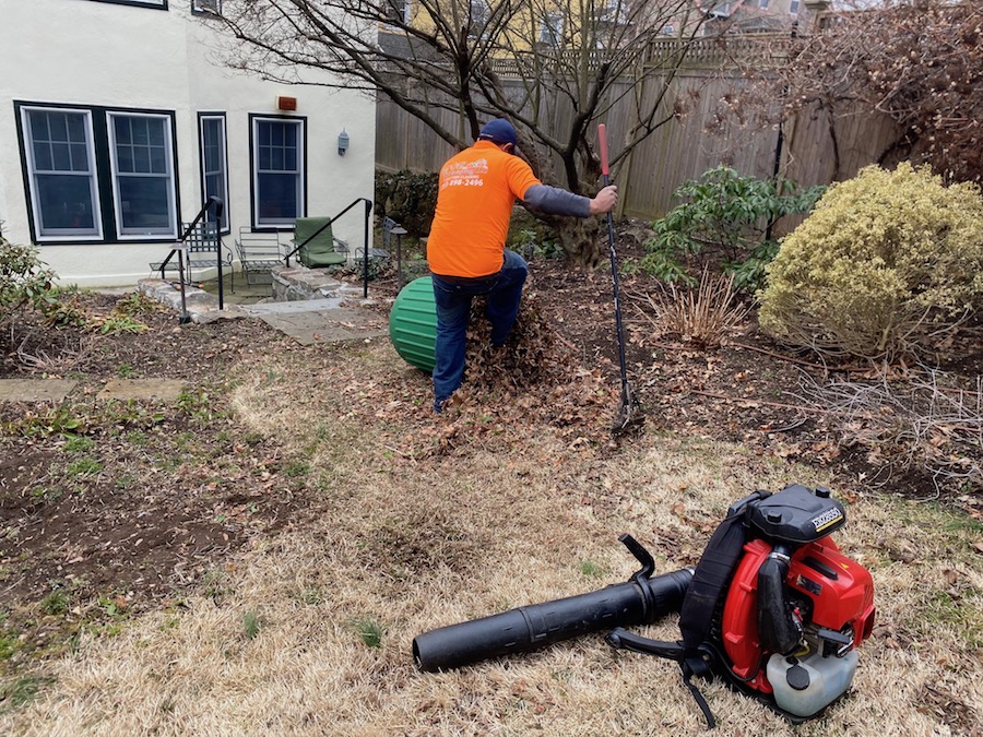 Spring Clean Up